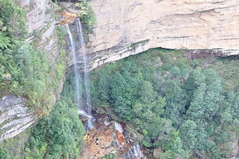 All-Inclusive Blue Mountains Tour In A Luxury Mercedes Sprinter - Accommodation in Bendigo 9