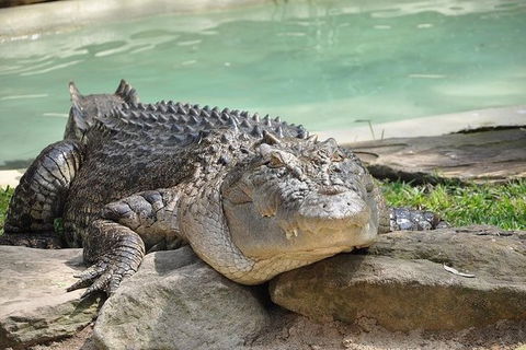 All-Inclusive Blue Mountains Tour In A Luxury Mercedes Sprinter - Accommodation in Bendigo 7