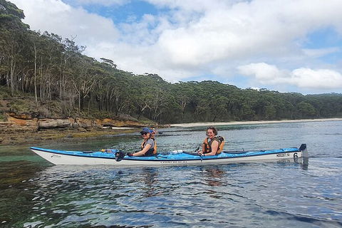 Half-Day Jervis Bay Sea Kayak Tour - Accommodation in Bendigo 6