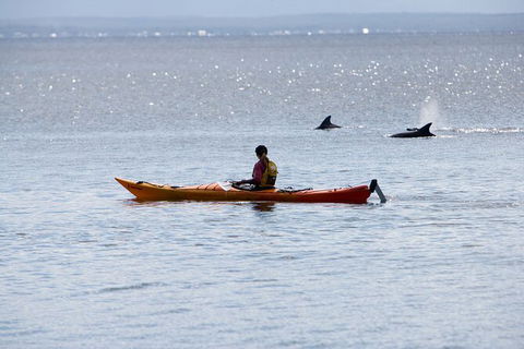 Half-Day Jervis Bay Sea Kayak Tour - Accommodation in Bendigo 4