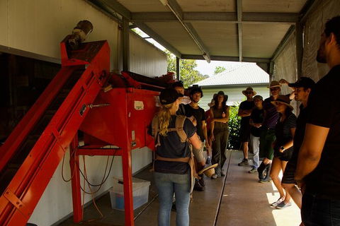 Pecan Farm Tour And Workshop, Byron Bay Hinterland - Accommodation in Bendigo 4