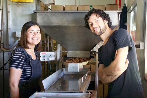 Pecan Farm Tour And Workshop, Byron Bay Hinterland - Accommodation in Bendigo 7