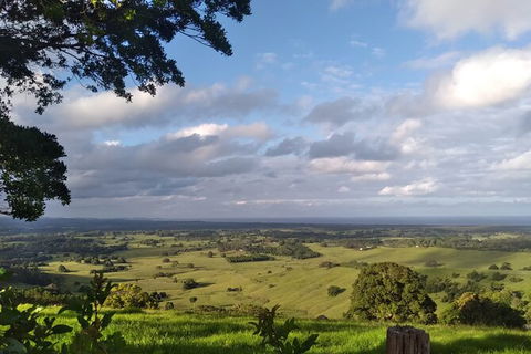 Pecan Farm Tour And Workshop, Byron Bay Hinterland - Accommodation in Bendigo 1