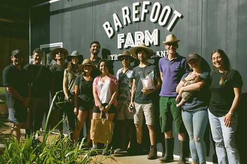 Pecan Farm Tour And Workshop, Byron Bay Hinterland - Accommodation in Bendigo 0