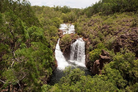 5 Day Kakadu National Park And Arnhem Land Tour - Accommodation in Bendigo 1