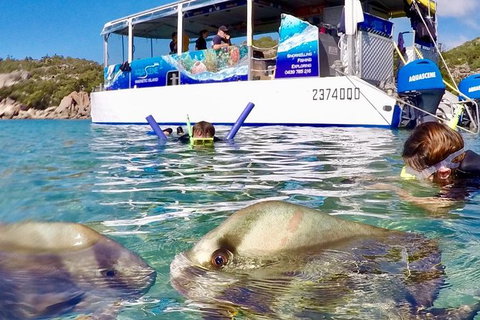 Aquascene Magnetic Island Discovery Tour - Accommodation in Bendigo 4
