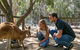 Currumbin Wildlife Sanctuary General Entry Ticket - thumb 1