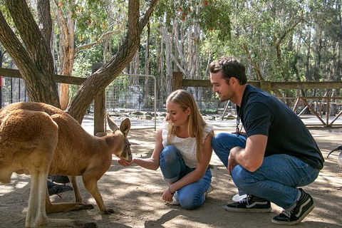 Currumbin Wildlife Sanctuary General Entry Ticket - Accommodation in Bendigo 1