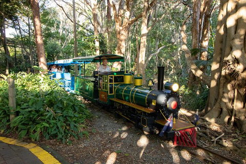 Currumbin Wildlife Sanctuary General Entry Ticket - Accommodation in Bendigo 13