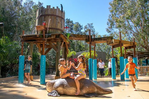 Currumbin Wildlife Sanctuary General Entry Ticket - Accommodation in Bendigo 20