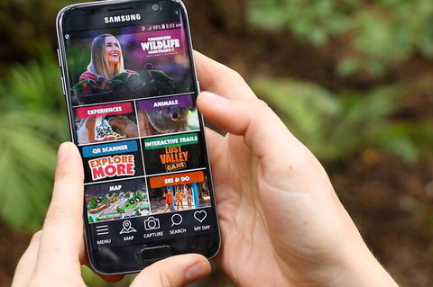 Currumbin Wildlife Sanctuary General Entry Ticket - Accommodation in Bendigo 11