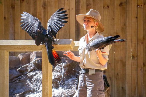 Currumbin Wildlife Sanctuary General Entry Ticket - Accommodation in Bendigo 2