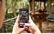 Currumbin Wildlife Sanctuary General Entry Ticket - thumb 4