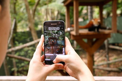 Currumbin Wildlife Sanctuary General Entry Ticket - Accommodation in Bendigo 4