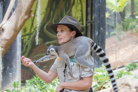 Currumbin Wildlife Sanctuary General Entry Ticket - Accommodation in Bendigo 7