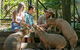 Currumbin Wildlife Sanctuary General Entry Ticket - thumb 16