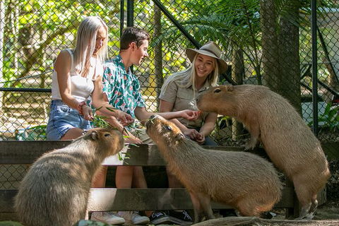 Currumbin Wildlife Sanctuary General Entry Ticket - Accommodation in Bendigo 16