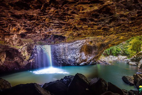 Full-day Springbrook National Park Tour From The Gold Coast - Accommodation in Bendigo 6