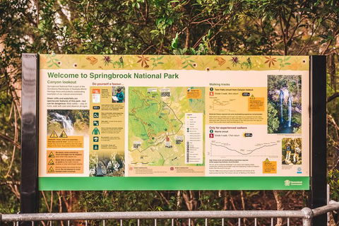 Full-day Springbrook National Park Tour From The Gold Coast - Accommodation in Bendigo 4