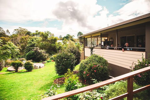 Full-day Springbrook National Park Tour From The Gold Coast - Accommodation in Bendigo 7