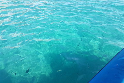 Gold Coast Try-Scuba Experience At Wave Break Island - Accommodation in Bendigo 12