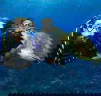 Gold Coast Try-Scuba Experience at Wave Break Island - Accommodation in Bendigo