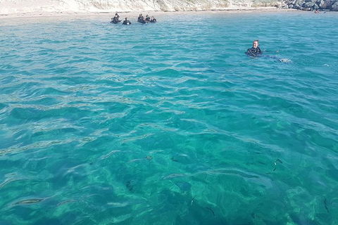 Gold Coast Try-Scuba Experience At Wave Break Island - Accommodation in Bendigo 13