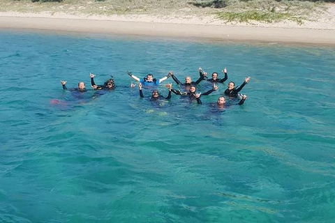 Gold Coast Try-Scuba Experience At Wave Break Island - Accommodation in Bendigo 7