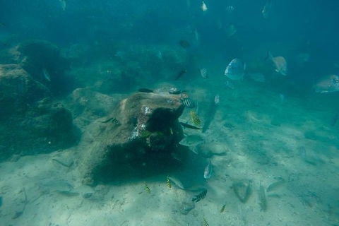 Gold Coast Try-Scuba Experience At Wave Break Island - Accommodation in Bendigo 5