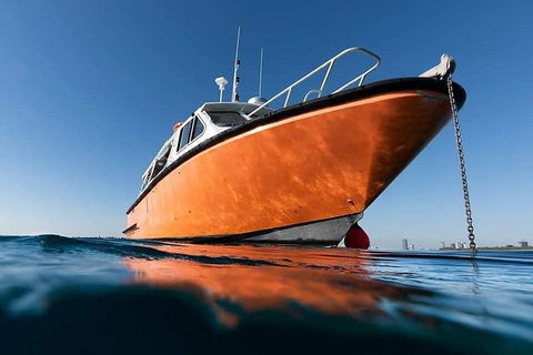 Gold Coast Try-Scuba Experience At Wave Break Island - Accommodation in Bendigo 2