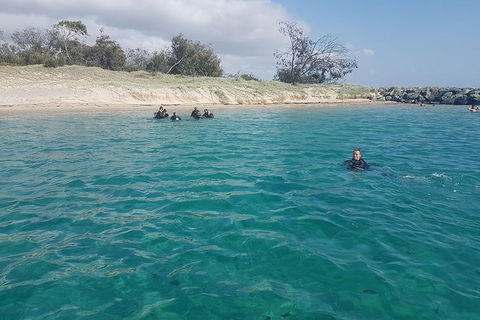 Gold Coast Try-Scuba Experience At Wave Break Island - Accommodation in Bendigo 16