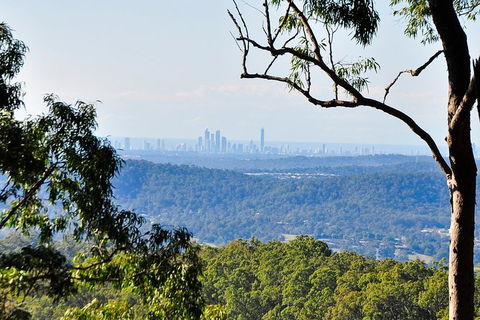 Gold Coast 4WD Eco Outback Tracks Tour - Accommodation in Bendigo 7