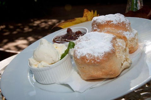 Gold Coast 4WD Eco Outback Tracks Tour - Accommodation in Bendigo 3