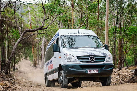 Gold Coast 4WD Eco Outback Tracks Tour - Accommodation in Bendigo 1