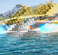 Gold Coast Quack'rDuck Amphibious Tour from Surfers Paradise - Accommodation in Bendigo