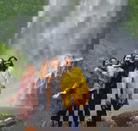Small Group Tour Max 6 Gold Coast Super 7 Waterfalls Tour Springbrook - Accommodation in Bendigo