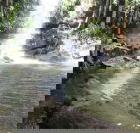 The Gold ExperiencePrivate Day Tour In Lamington National Park or Mt Tambourine - Accommodation in Bendigo