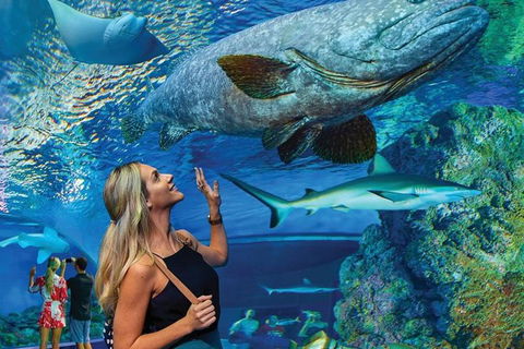 Cairns Aquarium Family Tickets - Accommodation in Bendigo 0