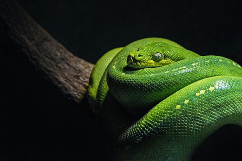 Cairns Aquarium Family Tickets - Accommodation in Bendigo 1