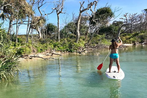 Early Morning Weekend Paddleboard Special - Accommodation in Bendigo 5