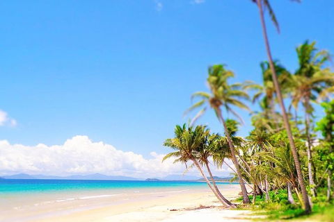 Airport Transfer - Mission Beach To Cairns Airport - Accommodation in Bendigo 3