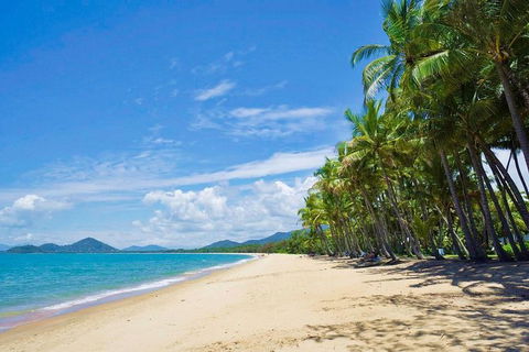 Airport Transfer - Cairns Airport To Palm Cove, Kewarra & Trinity Beaches - Accommodation in Bendigo 4