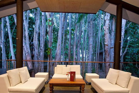 Airport Transfer - Cairns Airport To Palm Cove, Kewarra & Trinity Beaches - Accommodation in Bendigo 2