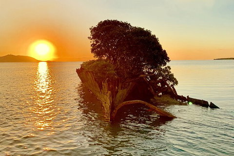 Aquascene Magnetic Island Sunset & Shipwreck Tour - Accommodation in Bendigo 3