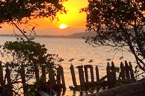 Aquascene Magnetic Island Sunset & Shipwreck Tour - Accommodation in Bendigo 2