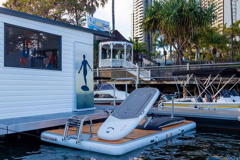 Gold Coast Hydrofoil Tours - Accommodation in Bendigo 9