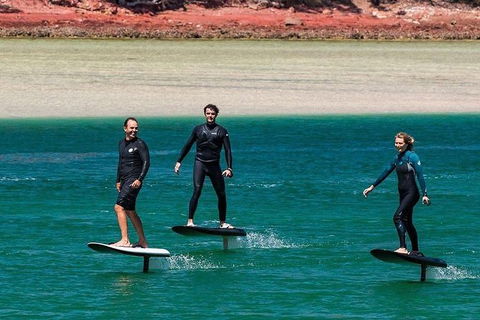 Gold Coast Hydrofoil Tours - Accommodation in Bendigo 18