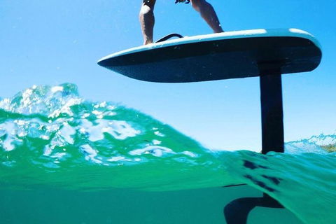 Gold Coast Hydrofoil Tours - Accommodation in Bendigo 16