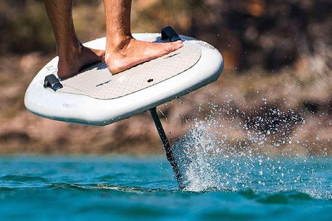 Gold Coast Hydrofoil Tours - Accommodation in Bendigo 17