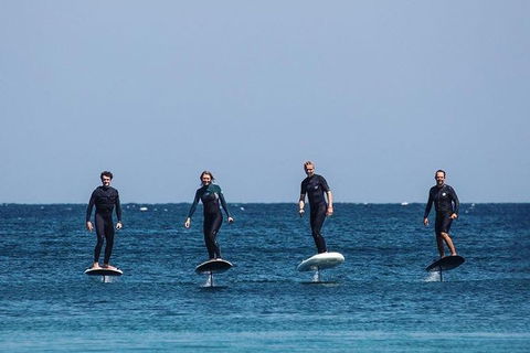 Gold Coast Hydrofoil Tours - Accommodation in Bendigo 6